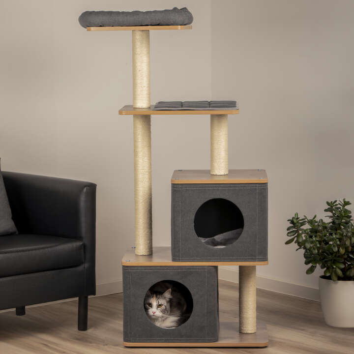 dobar Kratzbaum Hannah